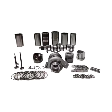 cat overhaul kit