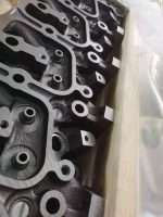 cummins QSB5.9 EFI Cylinder Head